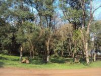 Sitio / Ch�cara