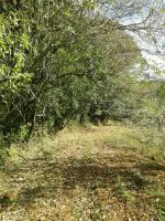 �rea De Terra